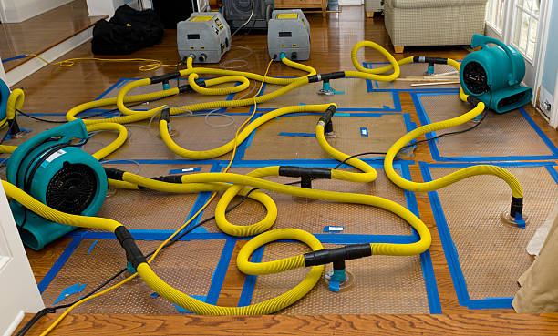 Professional Water Damage Restoration technician working in Old Chatham, NY